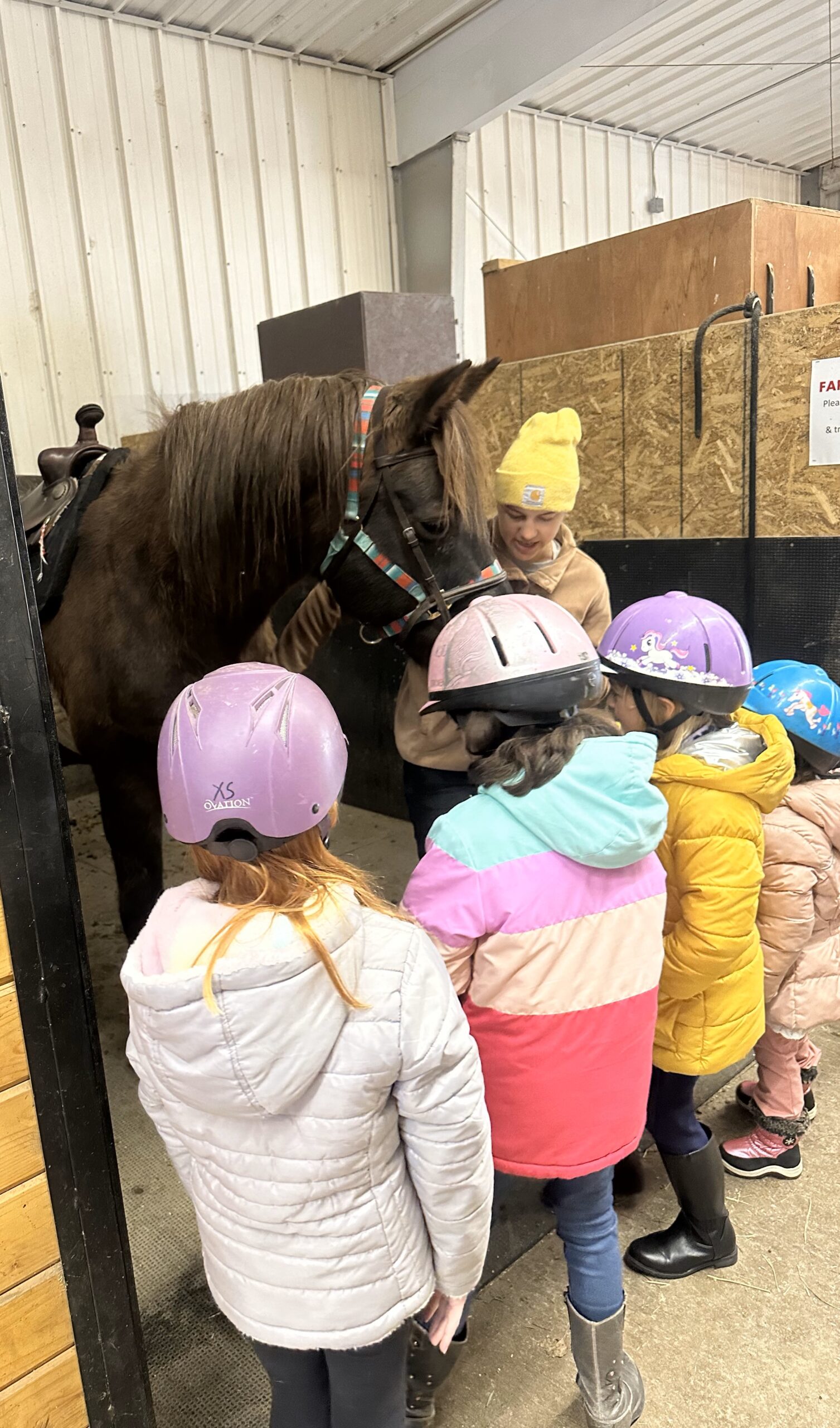 An equestrian instructor showing a four children a horse